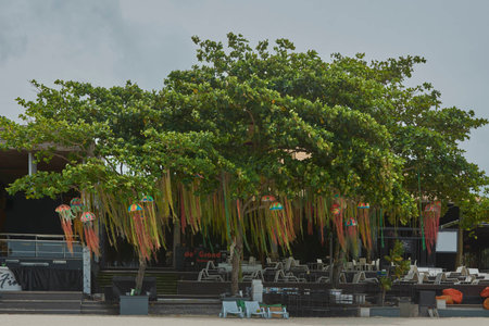 Tree string lanterns Ko Samed Thailandの写真素材