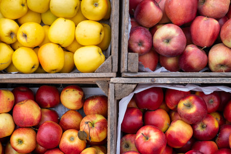 apples red yellow crate box on the countryside marketの写真素材