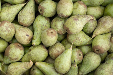 many green pears after harvest on the marketの写真素材
