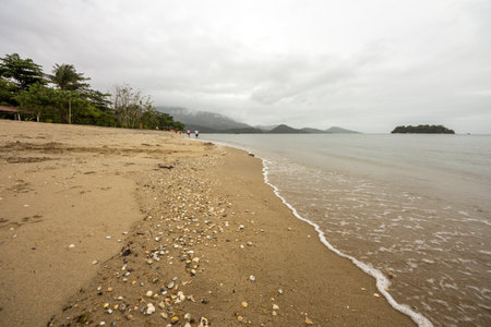 Brazilian Beachの写真素材