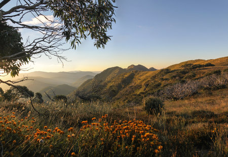 Crosscut Saw Sunset - Australiaの写真素材