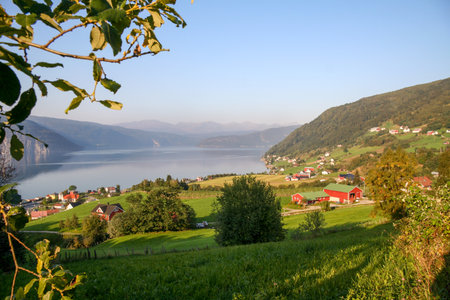 Norwegian Countrysideの写真素材