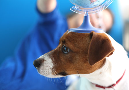 Holidays with a dog, how to plan your trip?の写真素材