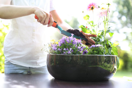Planting work in the gardenの写真素材