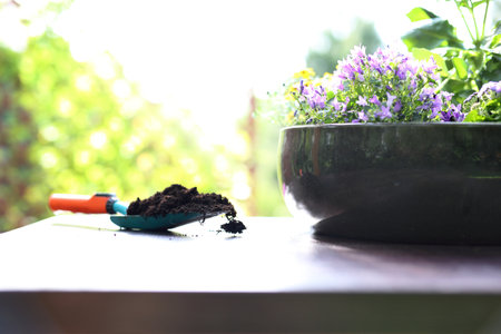 Earth for flowers. flowersの写真素材