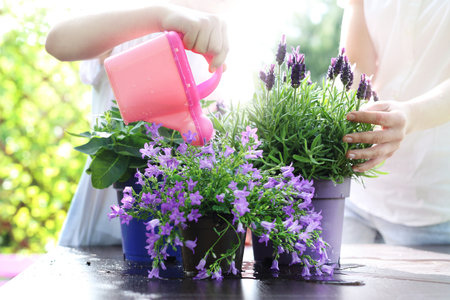 watering the garden. The woman watering the plants in the garden.の写真素材