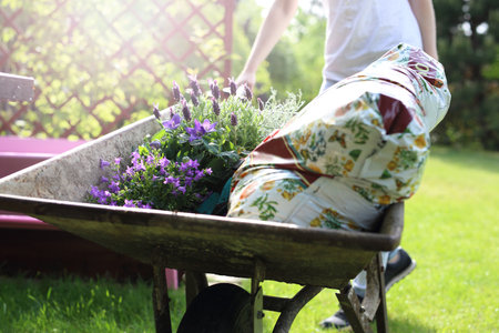 Gardening hobby and passion. A woman carrying a wheelbarrow land for planting crops and seedlingsの写真素材
