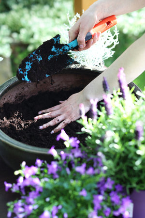 gardeningの写真素材