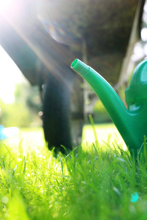 garden toolの写真素材