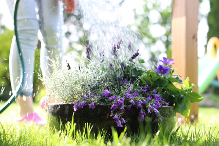 watering the garden. The woman watering the plants in the garden.の写真素材