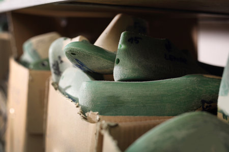 Hooves shoemaker. Bookcase in shoemaking workshop with profiled hoovesの写真素材
