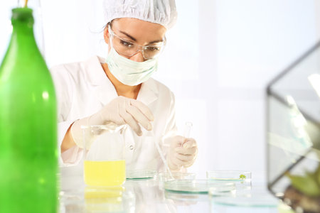 Laboratory grafting plants. Genetically modified plants.の写真素材