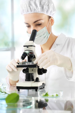 Biotechnology in plant breeding. Biotechnologist examine samples of plant under microscopeの写真素材