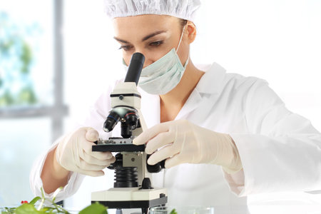 Genetic engineering in plant breeding. Biotechnologist examine samples of plant under microscopeの写真素材