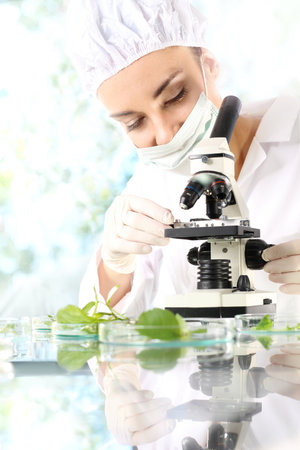 Laboratory tests. Biotechnologist examine samples of plant under microscopeの写真素材