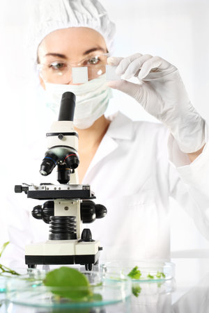 Biotechnologist examine samples of plant under microscopeの写真素材