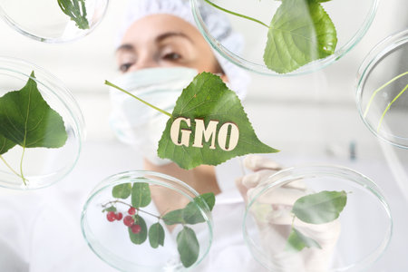 Gmo. Genetically modified plants.の写真素材