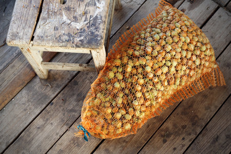 Hazelnut. Autumn harvest of nuts, home pantryの写真素材