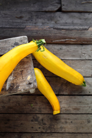 Courgette.の写真素材
