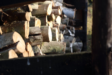 Firewood.の写真素材