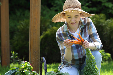 Spring garden. The gardener breaks vegetables from the bedsの写真素材