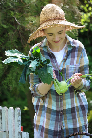 Spring garden. The gardener breaks vegetables from the bedsの写真素材