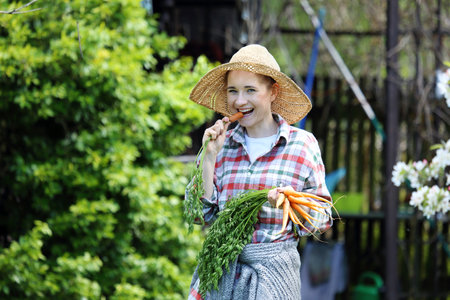 Healthy diet. Gardener carrot in the garden.の写真素材