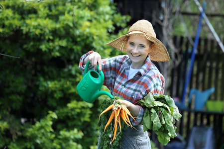 Spring in the garden, spring vegetables.の写真素材