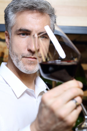 Sommelier in the restaurant evaluates the vintage. A handsome man judges the color of red wine.