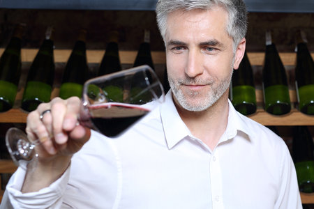 Red wine, tasting. A handsome man judges the color of red wine.