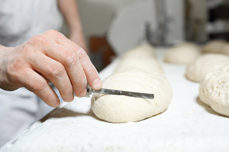 Confectionery. The man knead the dough.の写真素材