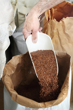 Linseed. Seeds of linseed.の写真素材