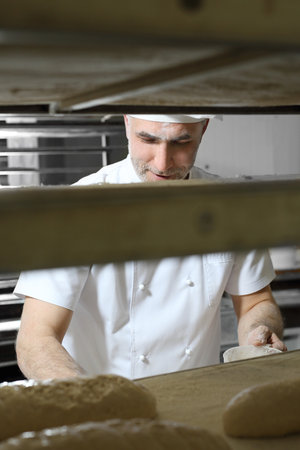 Baker working in the bakeryの写真素材