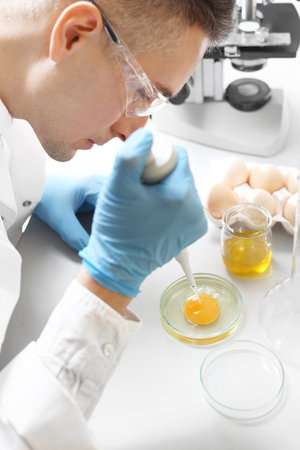 Food test. Research laboratory, egg quality testing.の写真素材