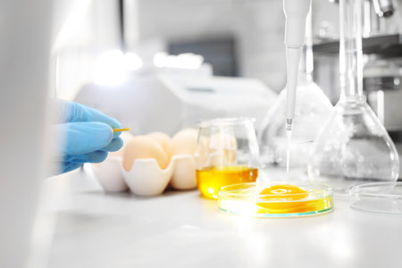 Analysis of the quality of chicken eggs in terms of nutritional value.の写真素材