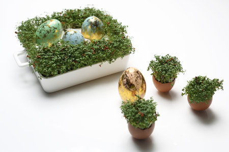 Easter composition with eggs and shells. Ecological style.の写真素材