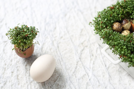 Easter composition with eggs and shells. Ecological style.の写真素材