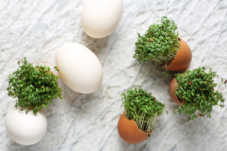 Easter composition with eggs and shells, top view. Ecological style.の写真素材