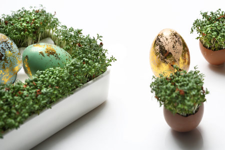 Easter composition with eggs and shells, top view. Ecological style.の写真素材