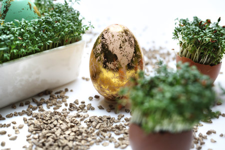 Easter composition with golden and blue eggs and shells.の写真素材