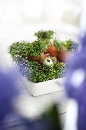 Easter composition with eggs and shells, top view. Ecological style.の写真素材