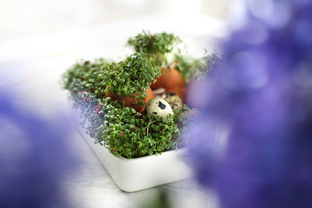Easter composition with eggs and shells and cress.