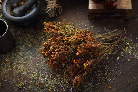 Dried St. Johns wort, herbs in medicine and cuisine.の写真素材