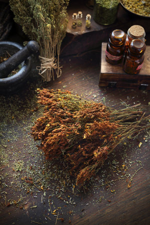 St. Johns wort . Dried herbs in medicine and cuisine.の写真素材