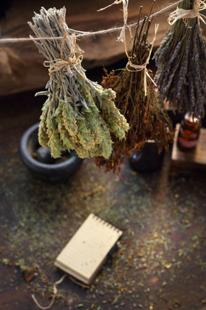 Sage Lebanese, St. Johns wort and lavender. Herbalist. Dried herbs.の写真素材