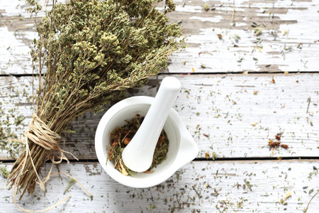 Oregano. Dried herbs in natural medicine and cookingの写真素材