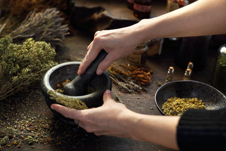 Herbalist. The woman prepares medicinal herbal mixtures. He composes herbs by grinding them in a mortarの写真素材