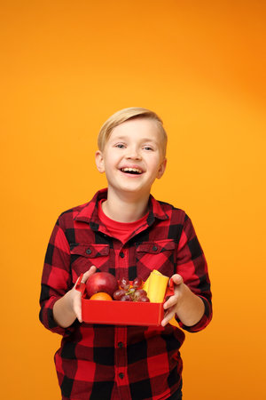 Fruit breakfast for school, a smiling child is holding a box of colorful fresh fruit.の写真素材
