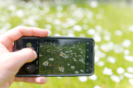 Human hand holding smartphone taking pictures of beautiful wildflower meadowの写真素材
