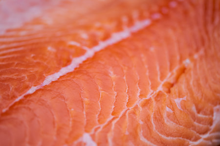 Close up macro of biological raw fresh salmon meat